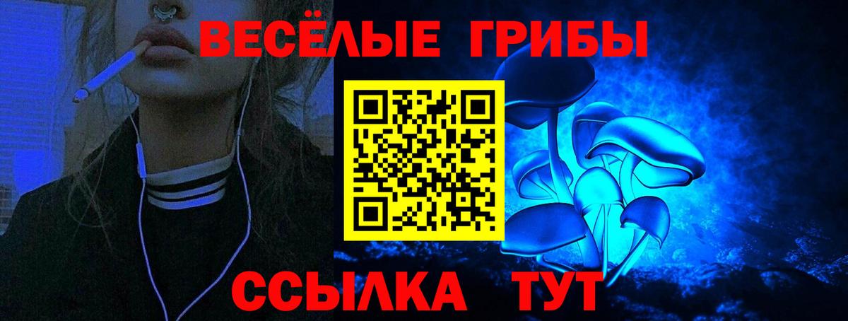 Галлюциногенные грибы MAGIC MUSHROOMS  Псилоцибиновые грибы Cubensis  Вход с VPN  Звенигород 